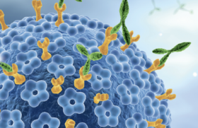 Dépistage primaire de l’infection HPV