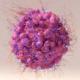 Le ribociclib pour les cancers du sein luminaux métastatiques RH+ HER2- 