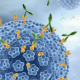 Dépistage primaire de l’infection HPV