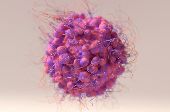 Le ribociclib pour les cancers du sein luminaux métastatiques RH+ HER2- 