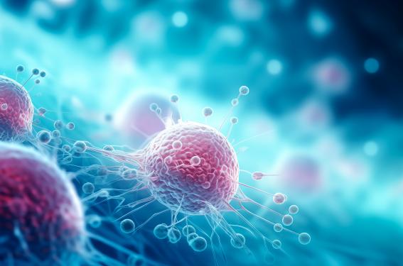 Le tinengotinib, un nouvel inhibiteur multikinase pour les cancers du sein HR+/HER2- ou TNBC 